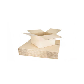 copy of Kartony klapowe 200x150x100 F201 40szt
